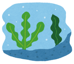 �������Ō��N