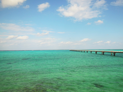 �������ŃA���`�G�C�W���O